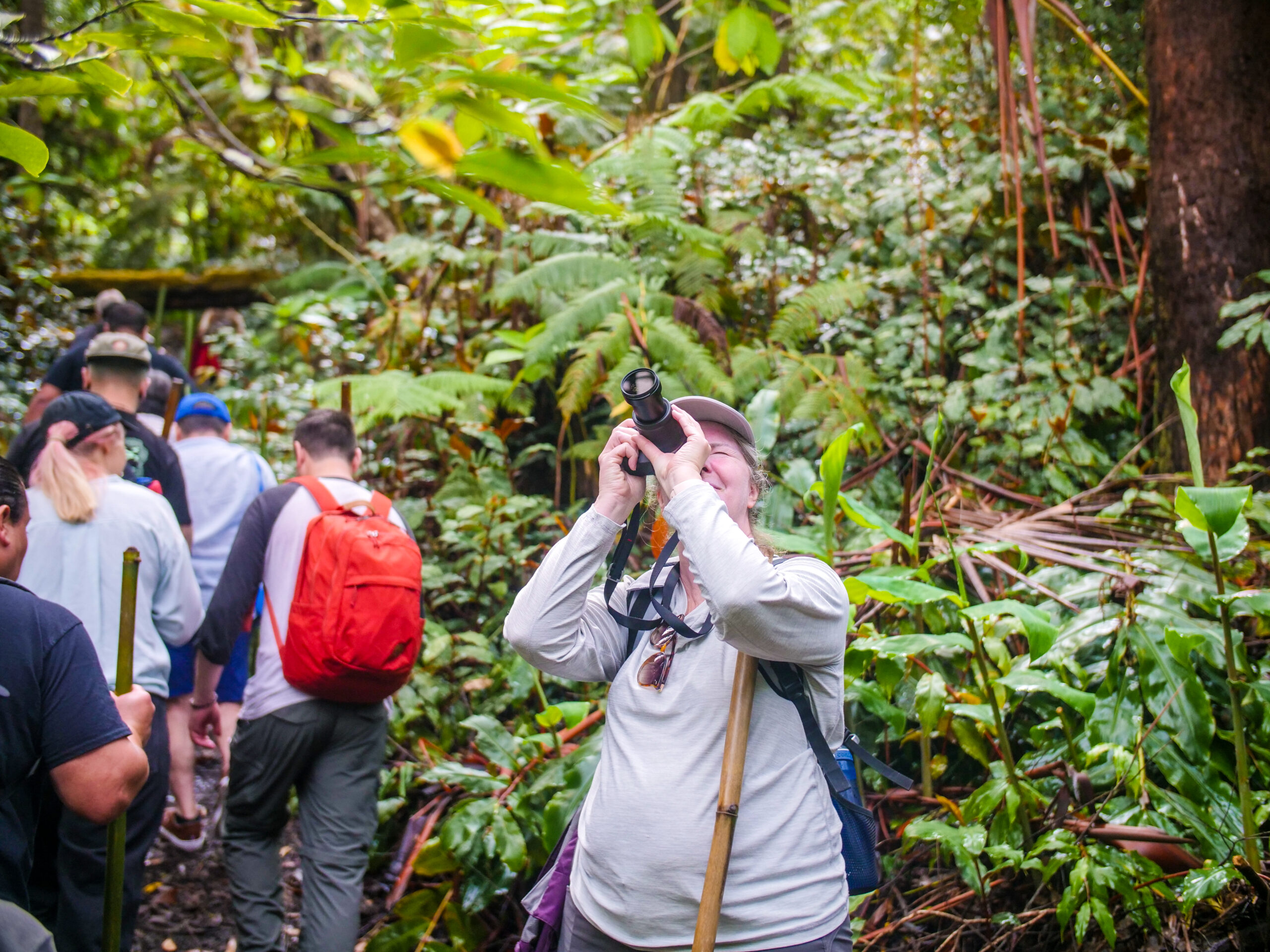 Hawaii Cloud Forest Photography Service Events