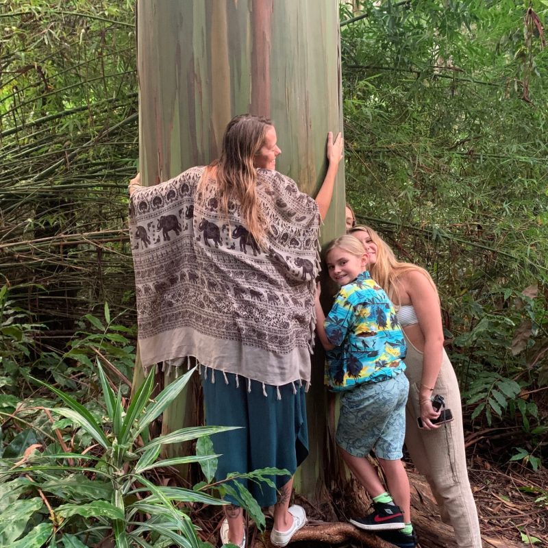 a person standing in front of a tree