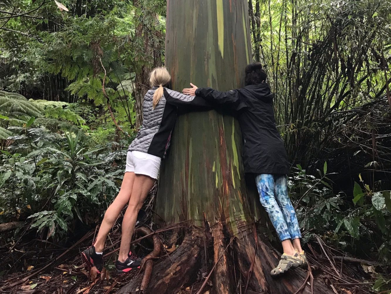 a woman standing next to a tree