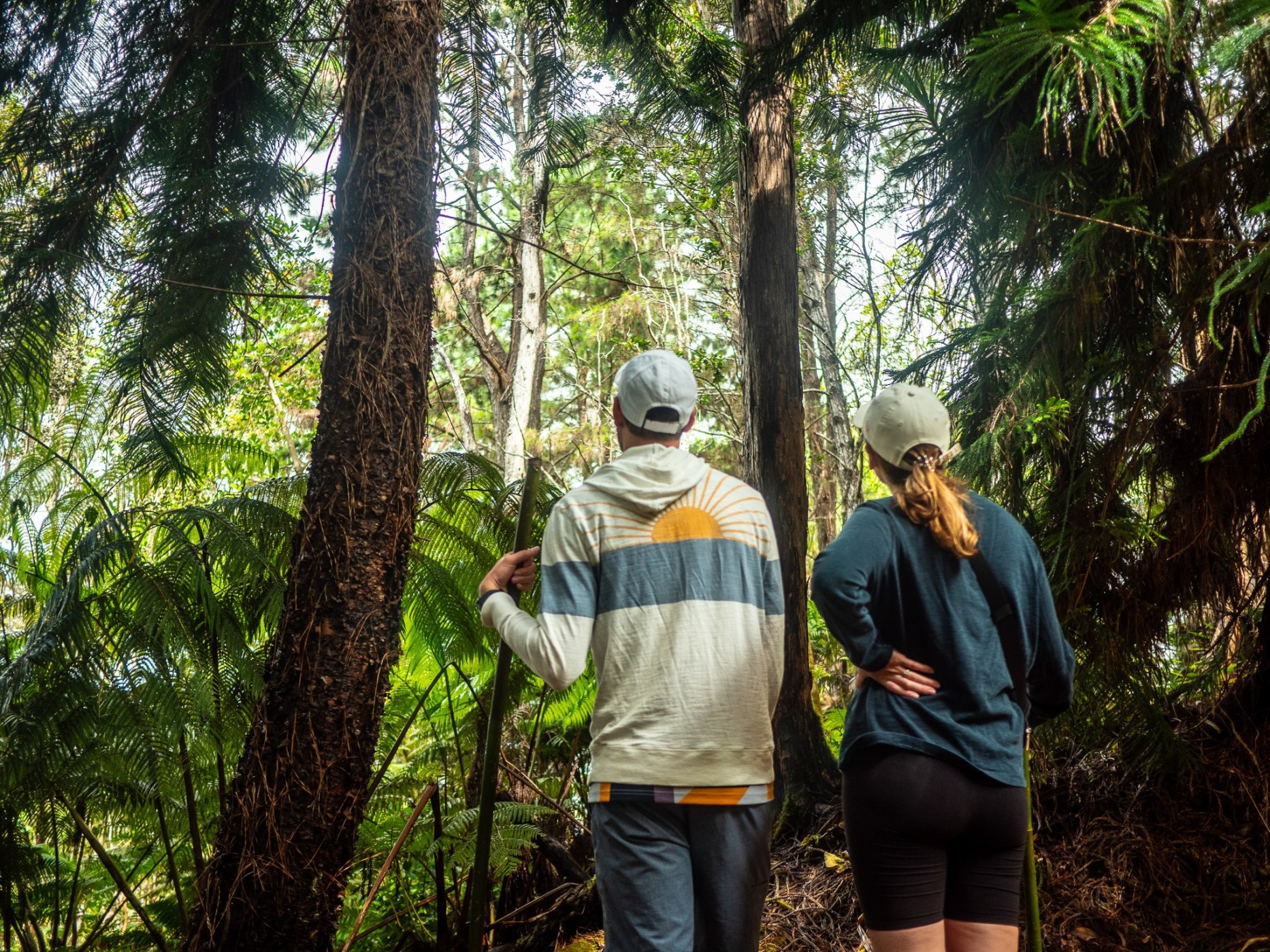 Experience Yoga & Sound Bath Retreats | Kona Cloud Forest Sanctuary