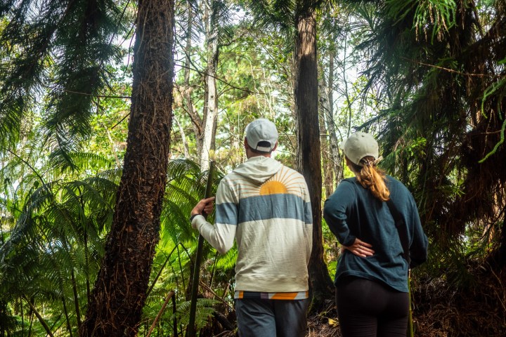 a man standing next to a tree
