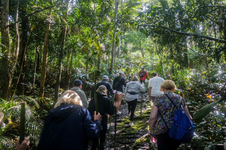 a group of people standing next to a tree