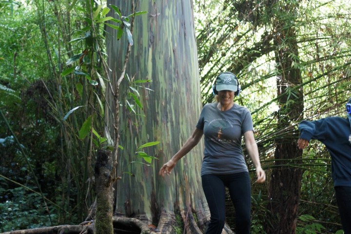 a man and a woman standing next to a tree