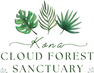 Cloud Forest Sanctuary