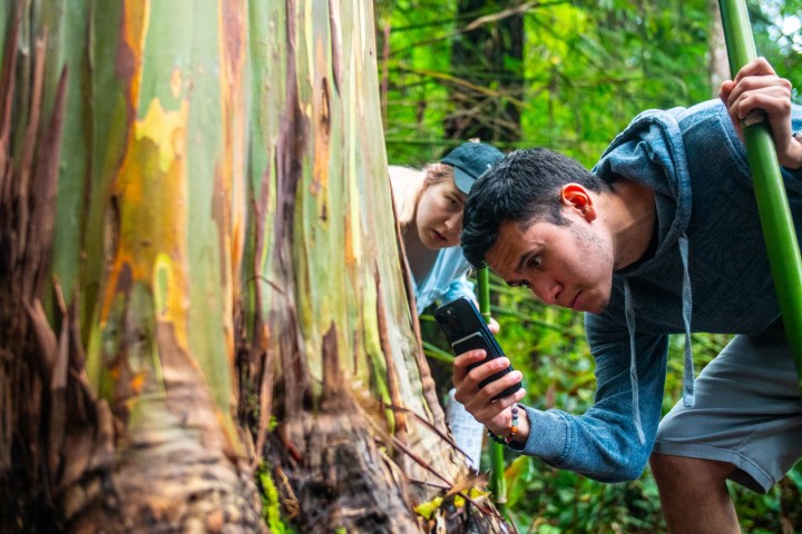 a man standing next to a tree