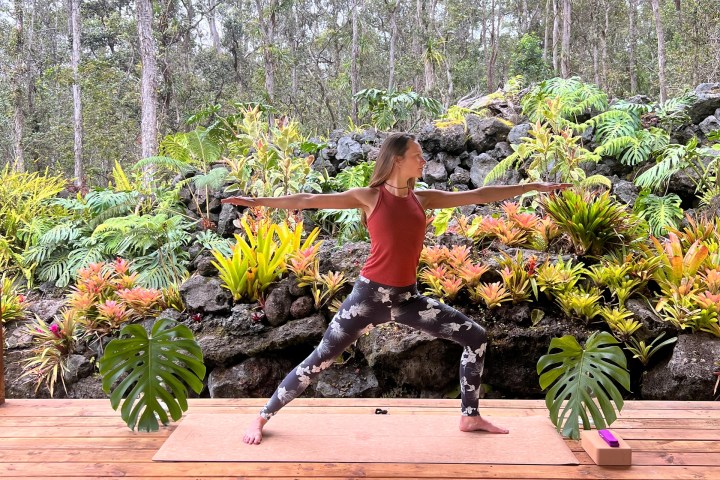 a group of people sitting on a bench in a garden