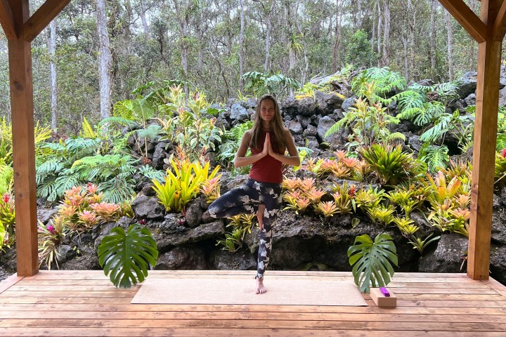 a wooden bench in a garden