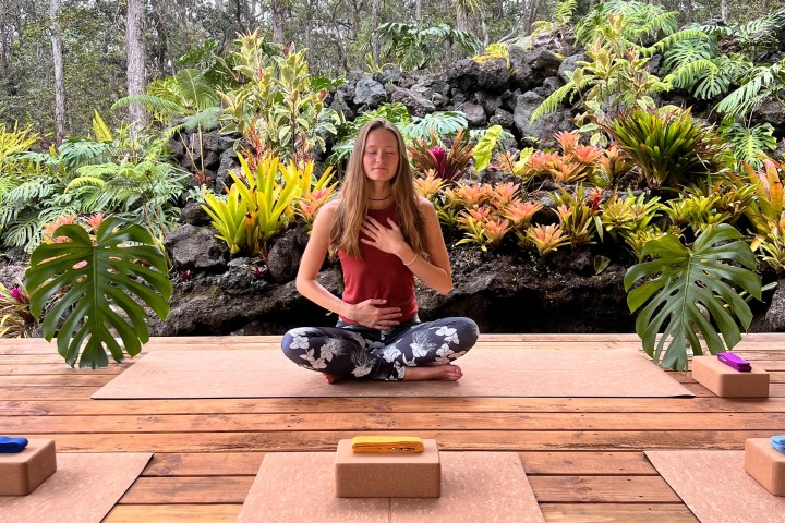 a person sitting on a bench next to a tree