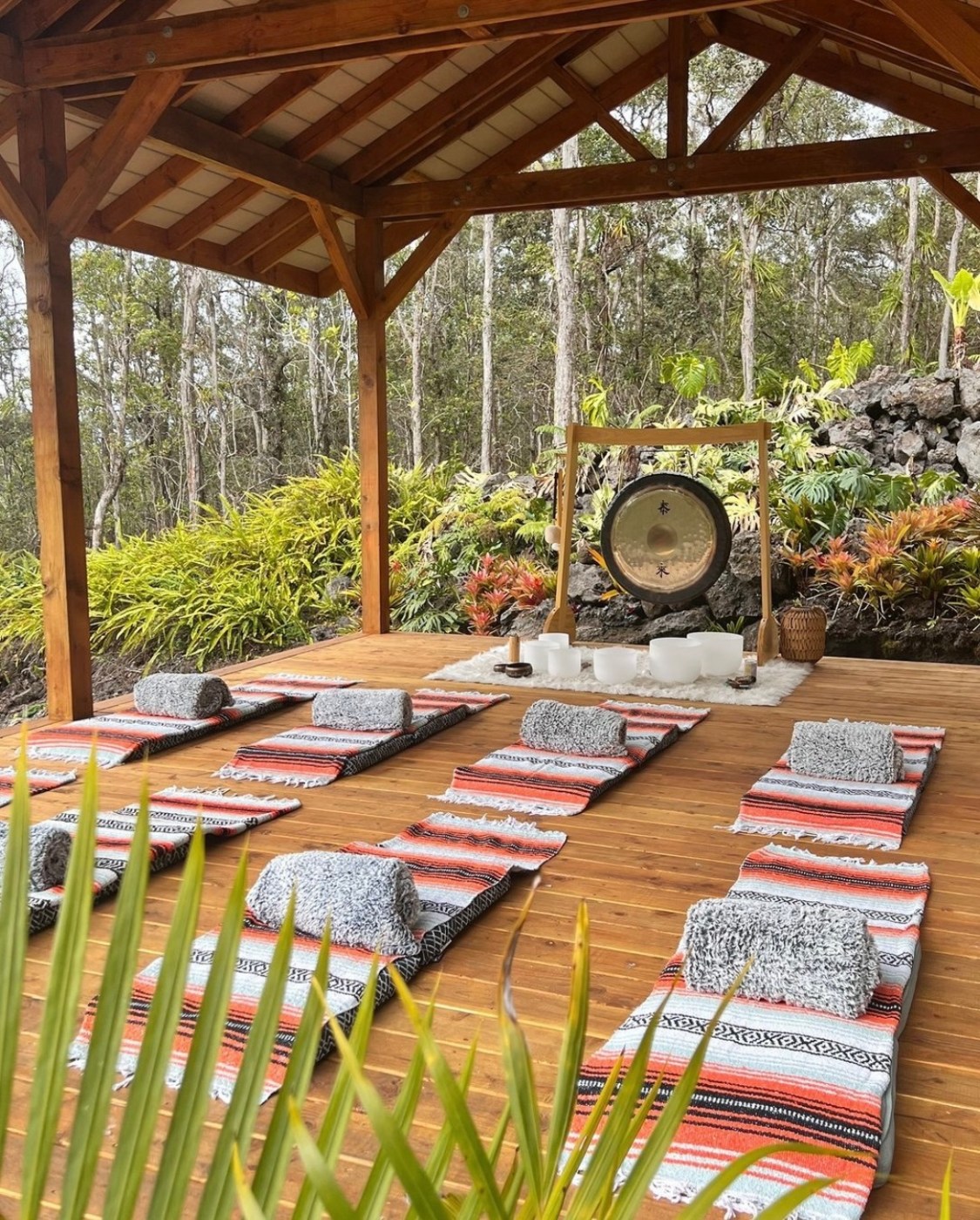 Cloud forest sanctuary sound meditation