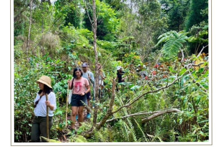 a group of people in a forest