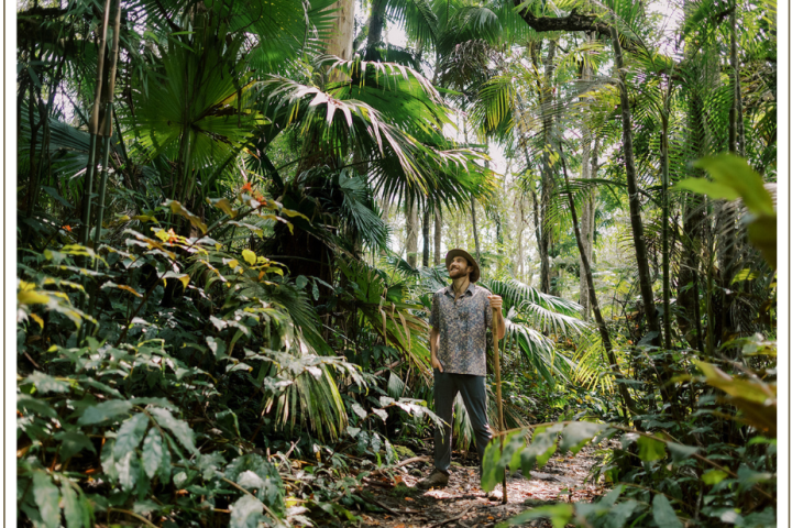 a person hiking in a cloud forest