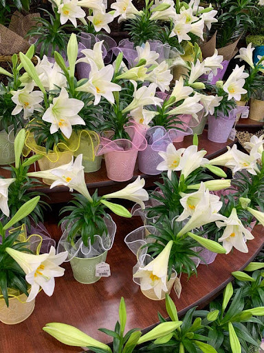a bouquet of flowers on a table