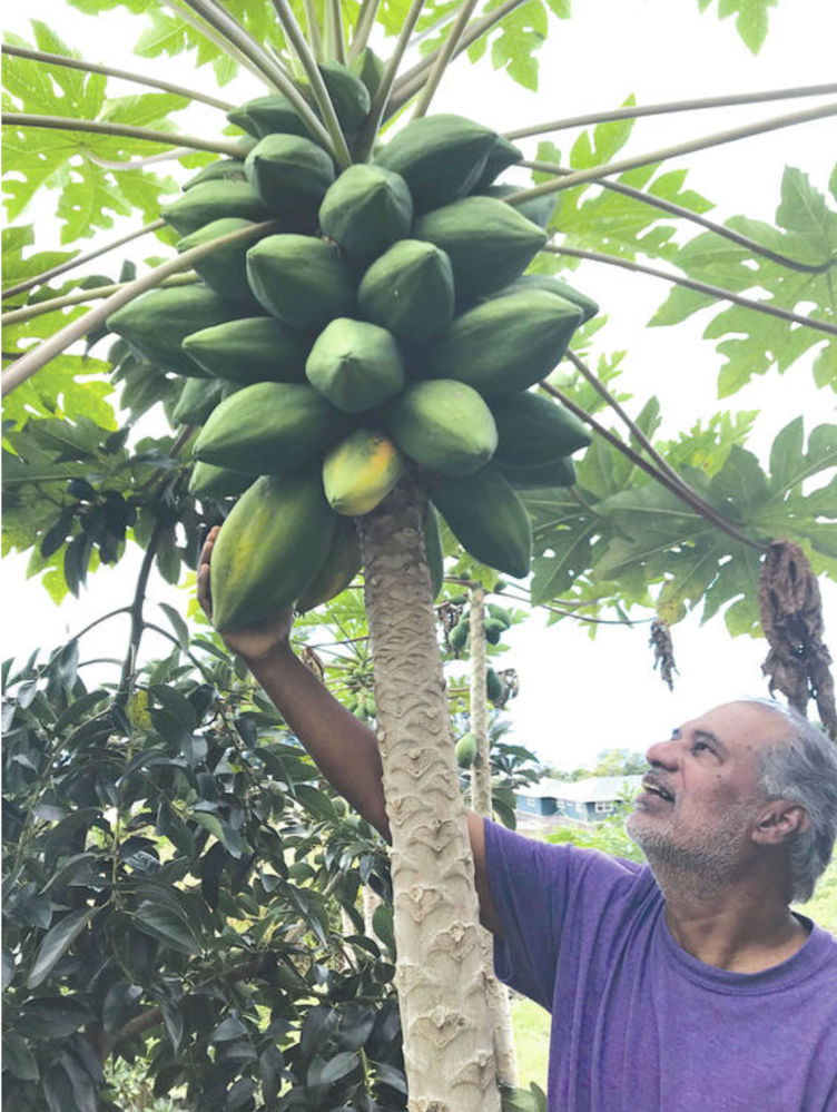a man standing in front of a fruit tree