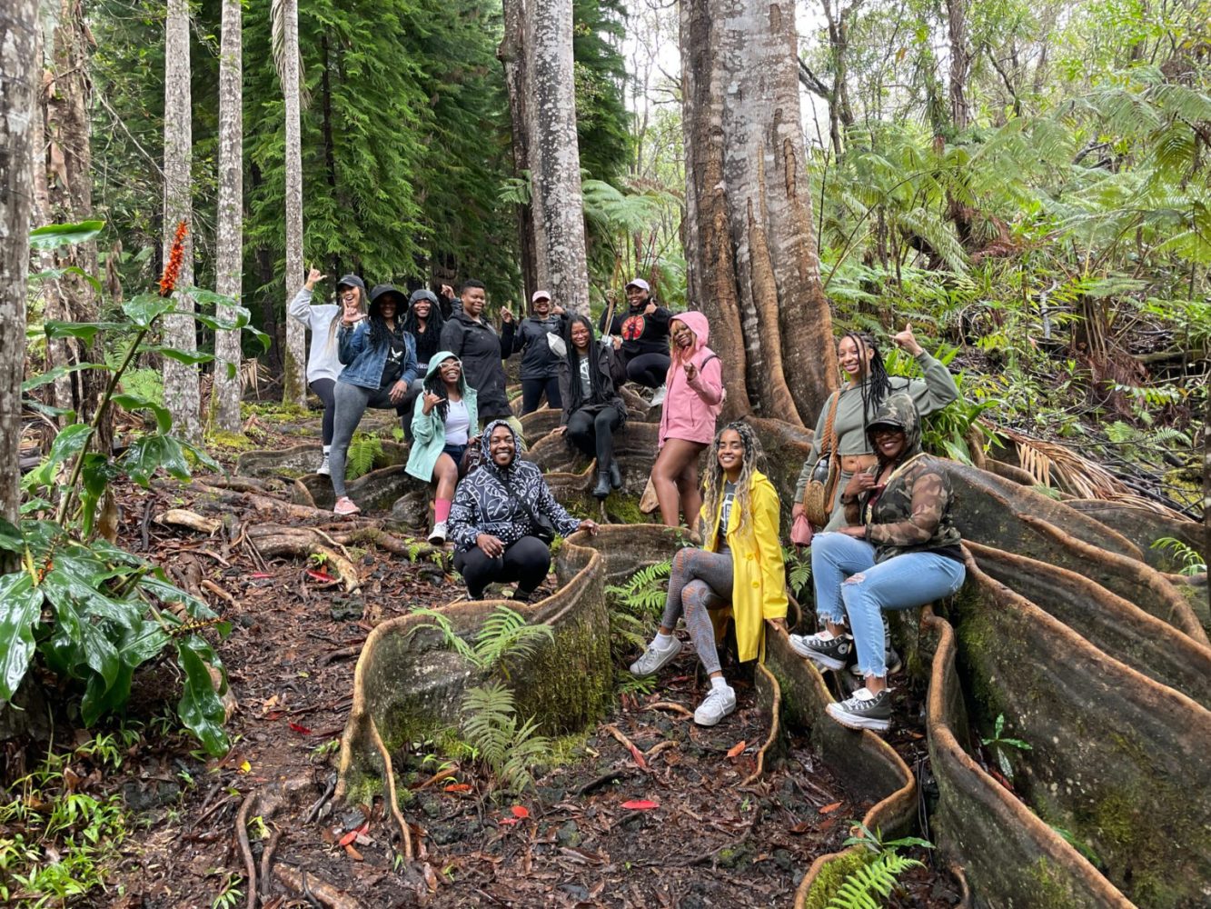 a group of people in a forest