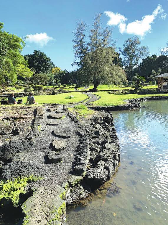 a garden with water in the background