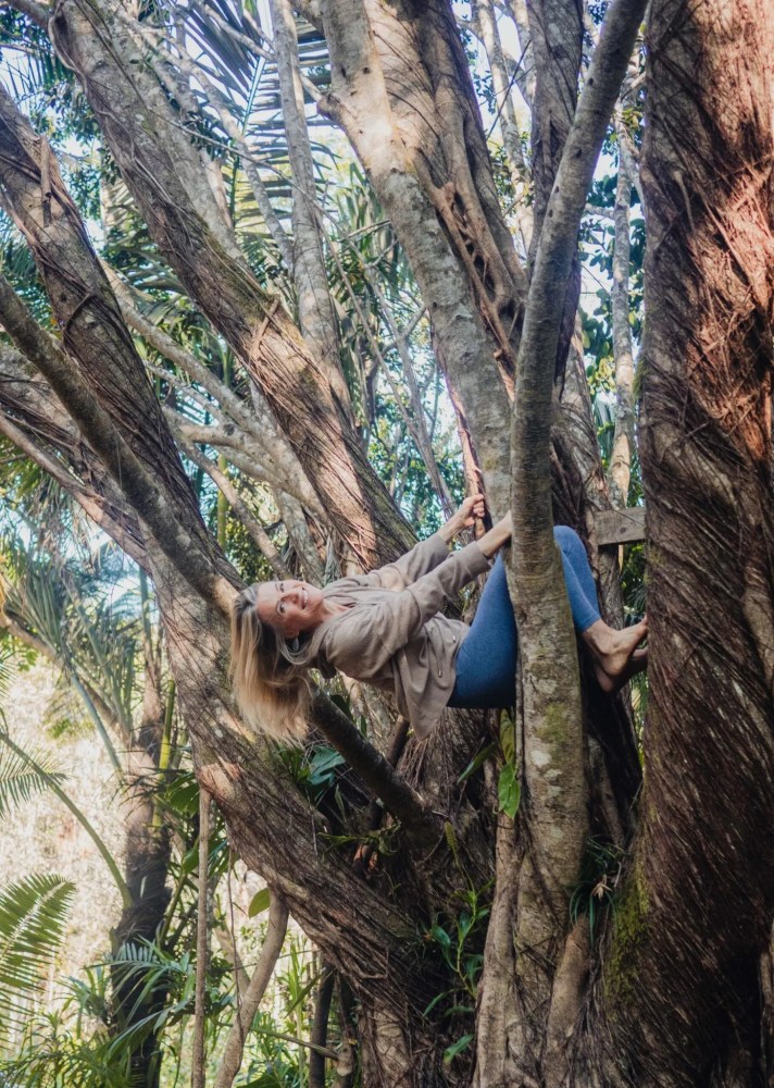 a tree in a forest