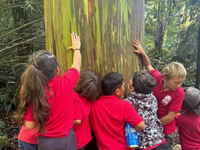 a group of people standing next to a tree