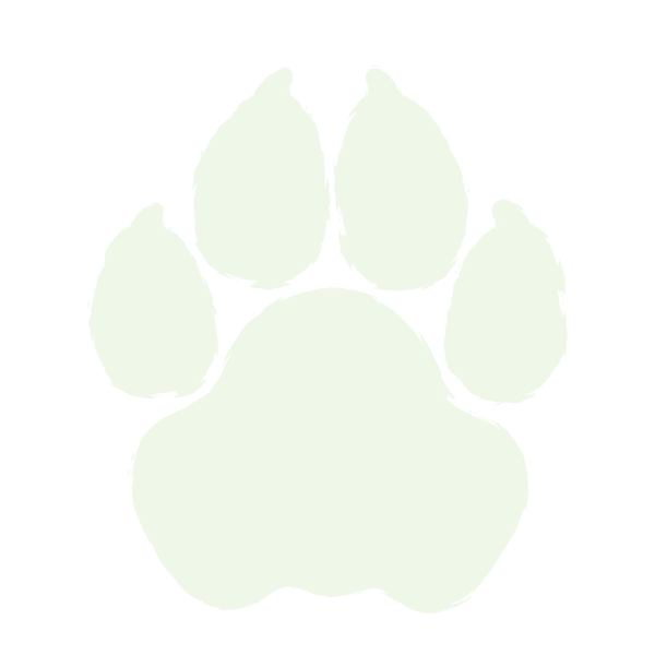 4 a close up of a logo