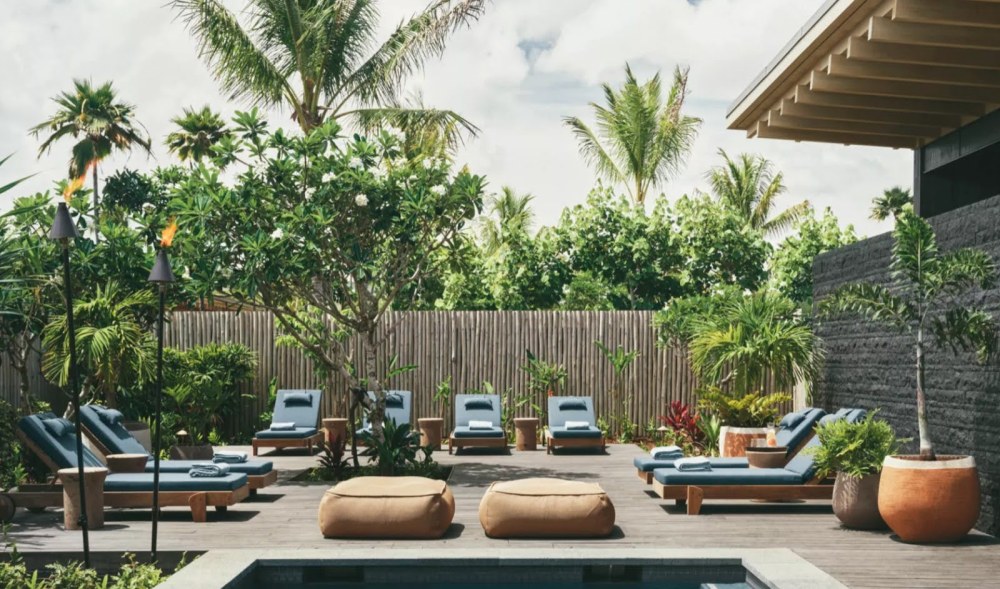 a bench in front of a palm tree