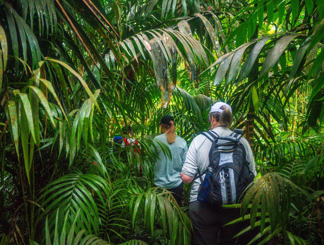 People in a forest
