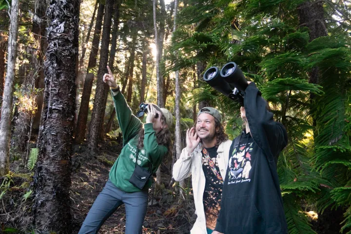 Three people in a forest looking up, one pointing, two holding binoculars.