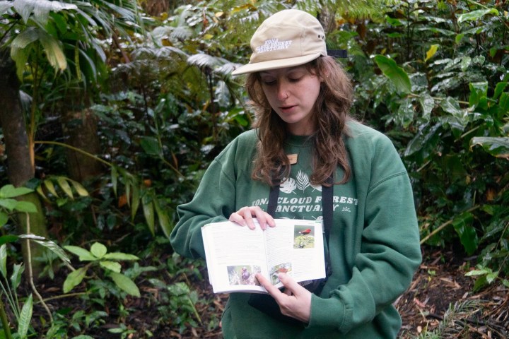 Person in green sweatshirt and hat holding an open book in a lush forest setting.