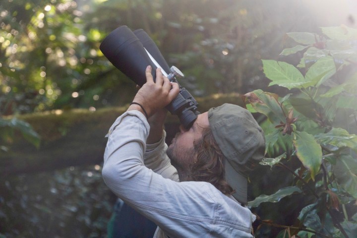 Person using large binoculars in a lush forest, wearing a cap and long sleeve shirt.