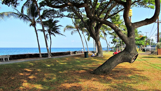Coastal park scene with palm trees, grass, and ocean view under a clear blue sky.