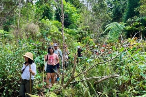 People hiking through lush forest with hats and walking sticks under a sunny blue sky.
