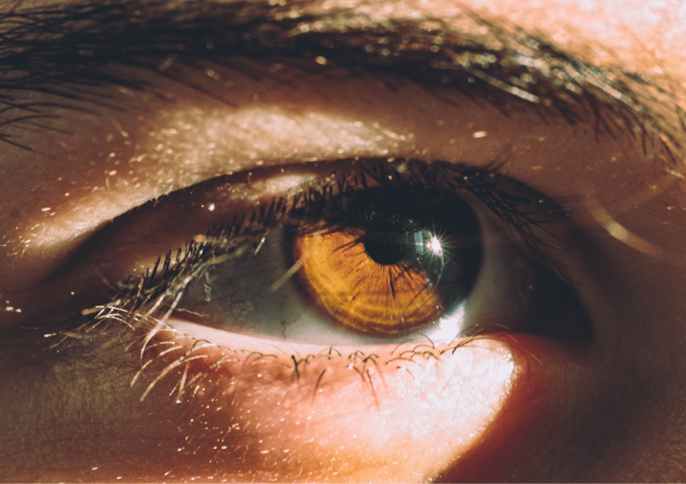 Close-up of a brown eye with reflections of light.