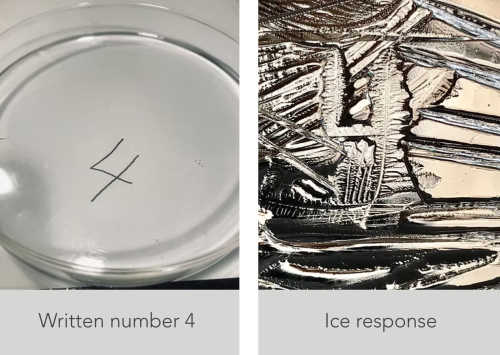 Petri dish with number 4, ice crystals formed in response on the right.