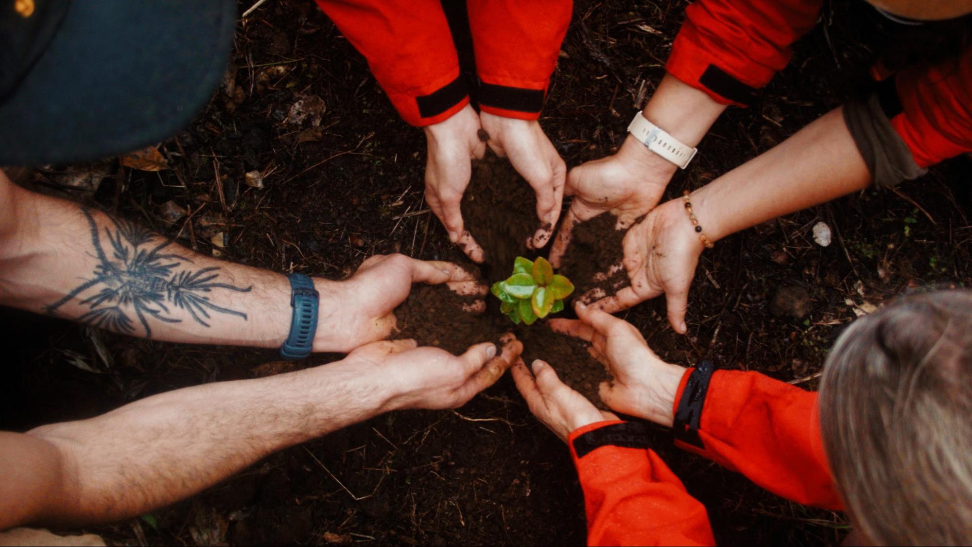 image3 Six hands in a circle around planting sprout in soil, teamwork concept.