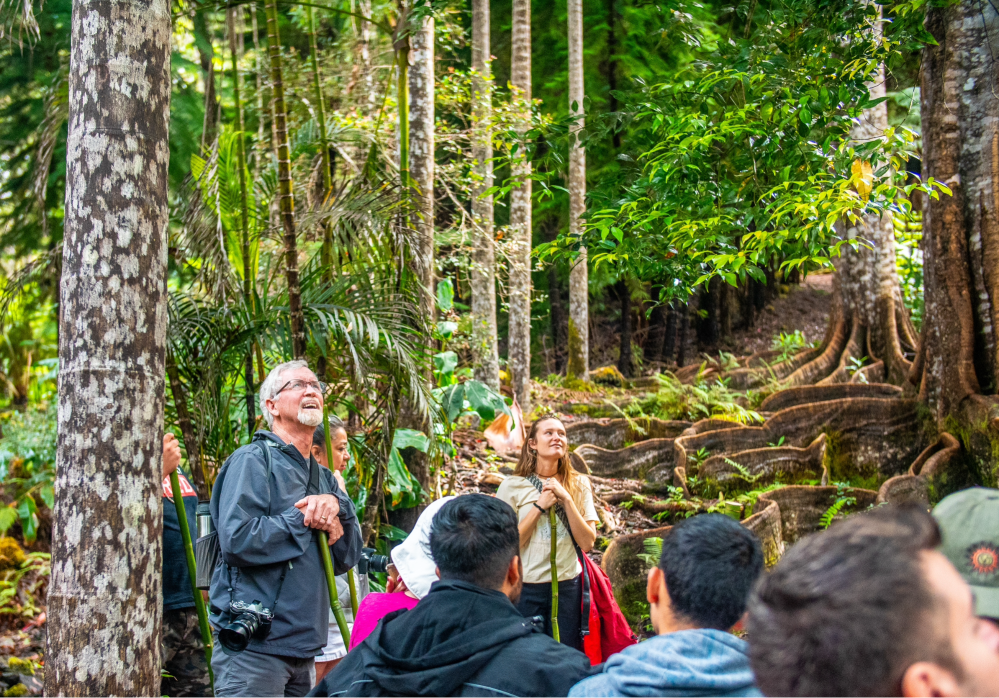 Group of people in a lush forest, looking upward with interest.
