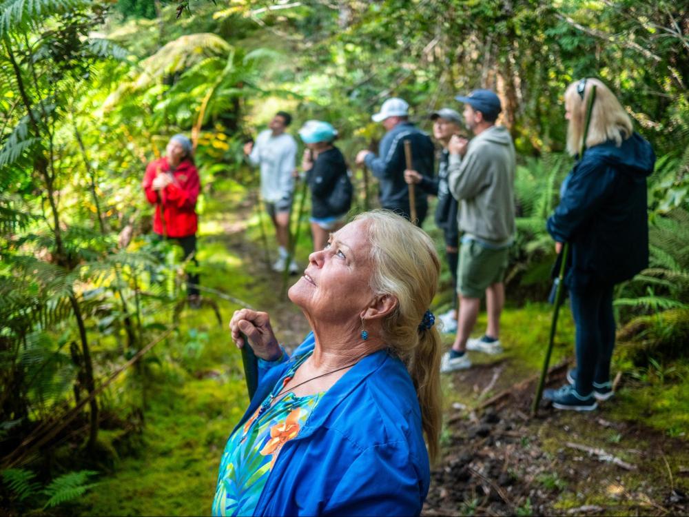 A group of people hiking in a lush forest, with a woman in blue looking upwards.
