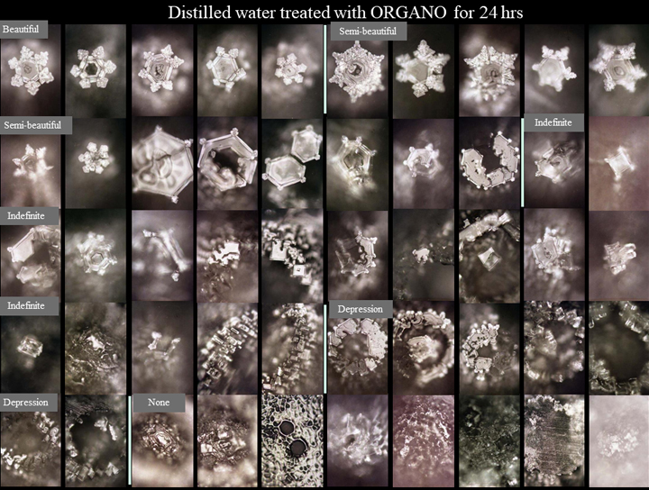 Collage of water crystal photos labeled with emotions and treated with Organo for 24 hours.