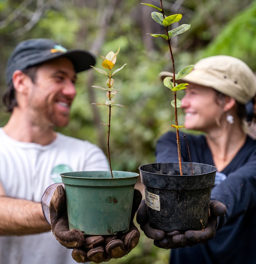 Two people holding small potted plants in a forest setting, smiling at each other.