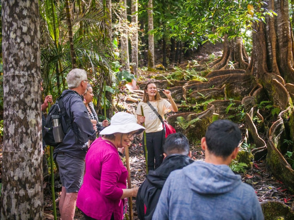 Group of people in a lush forest, talking and exploring near large tree roots.