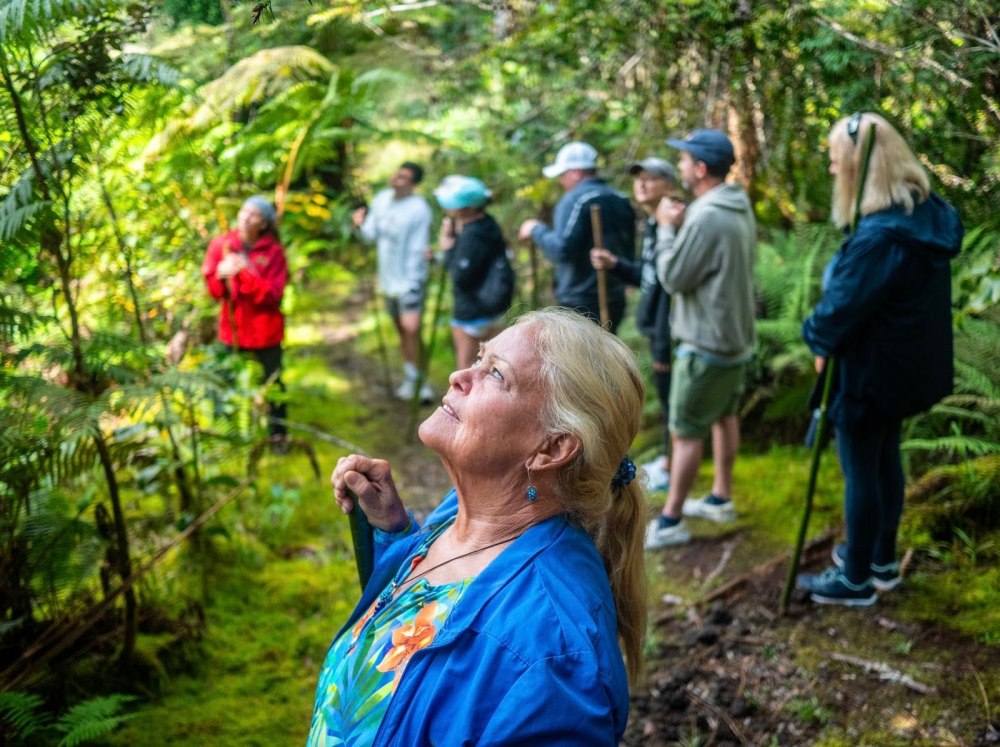 Group of people, led by an older woman, exploring a lush forest trail.