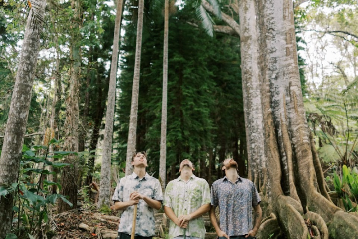 Three people in a forest look up at tall trees with large roots.