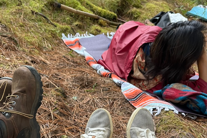 People relaxing on blankets in a forest with trees and moss.