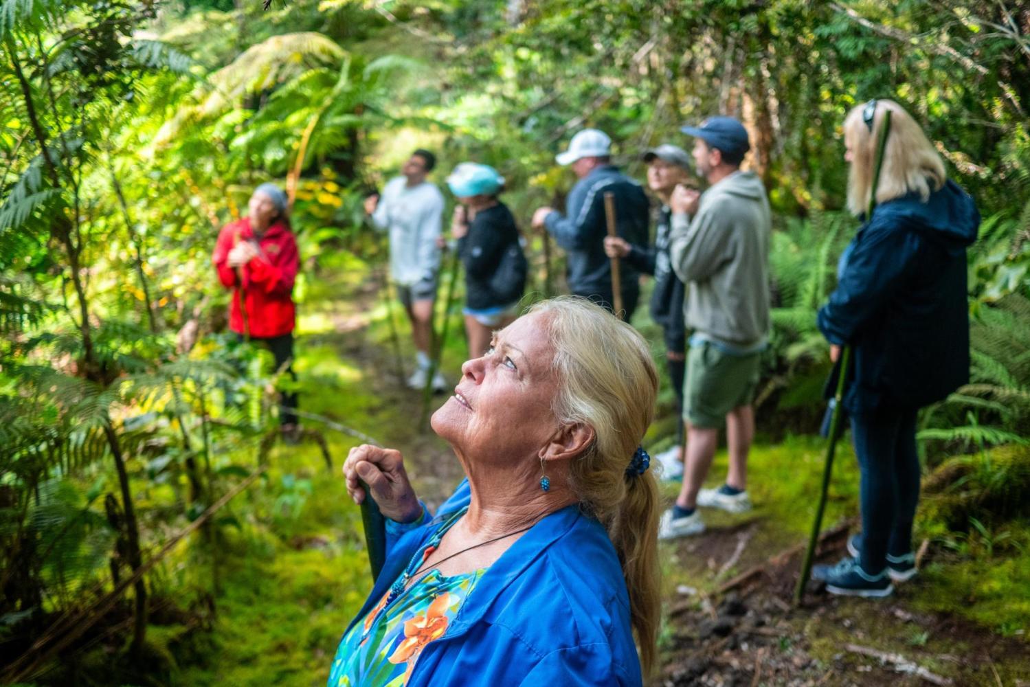 People hiking in a lush forest, one woman in foreground looking upward.