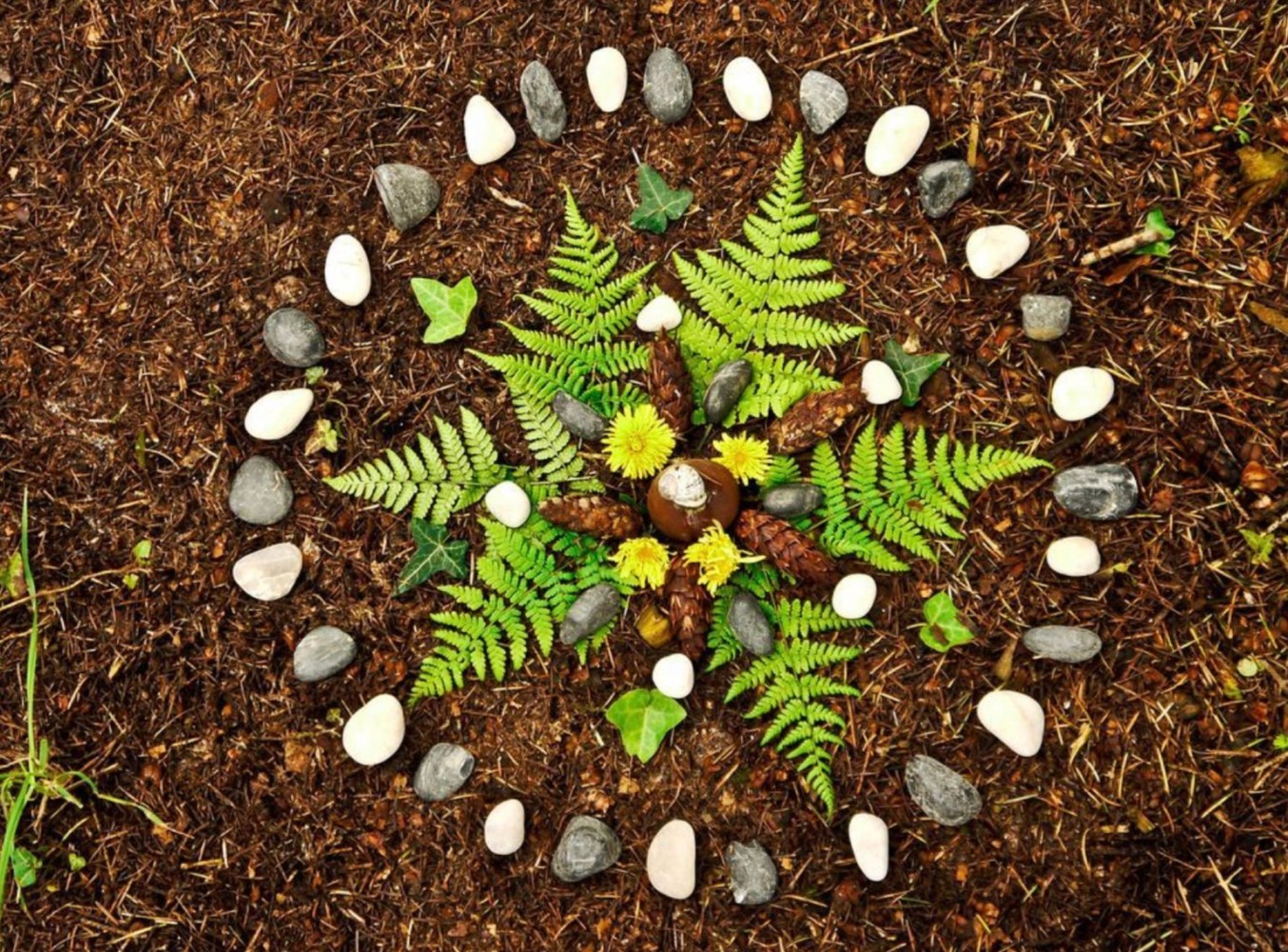 Nature mandala with leaves, stones, pinecones, and flowers on forest floor.