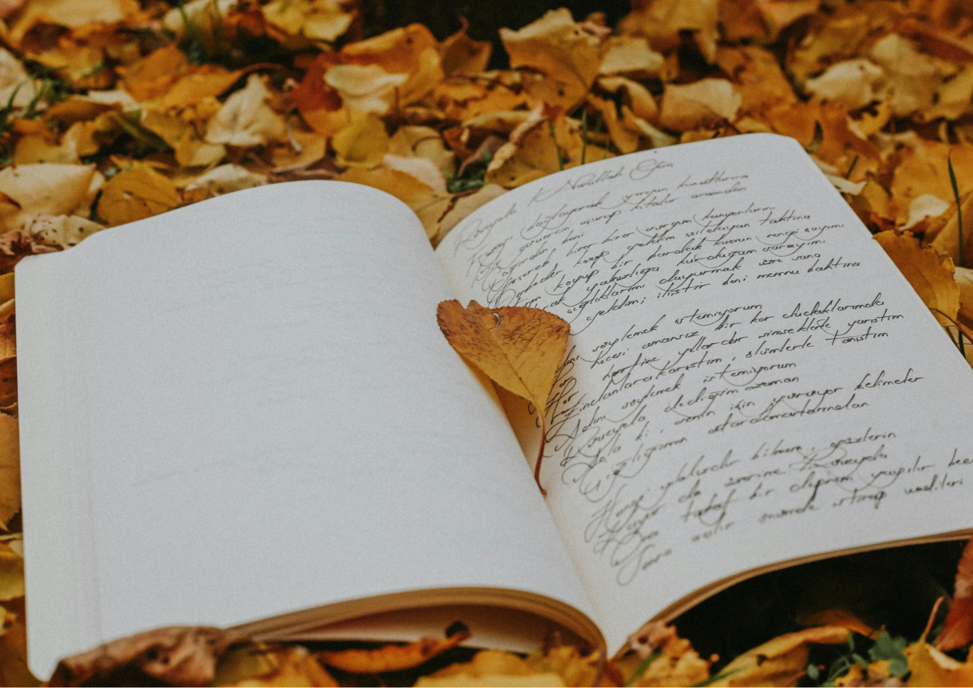 Open notebook with handwriting lies among autumn leaves with a leaf inside.