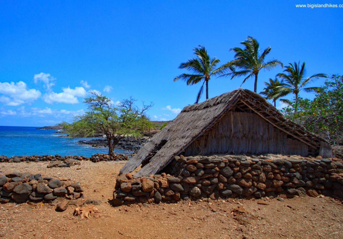 A thatched hut by the ocean, with palm trees and a stone wall under a clear blue sky.