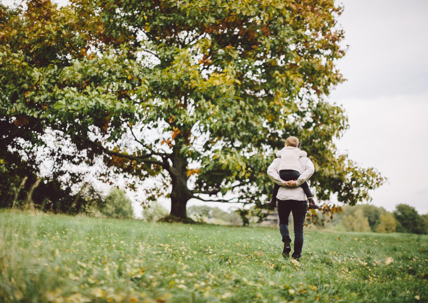 Person walking in a grassy field carrying a child on their shoulders near a large tree.
