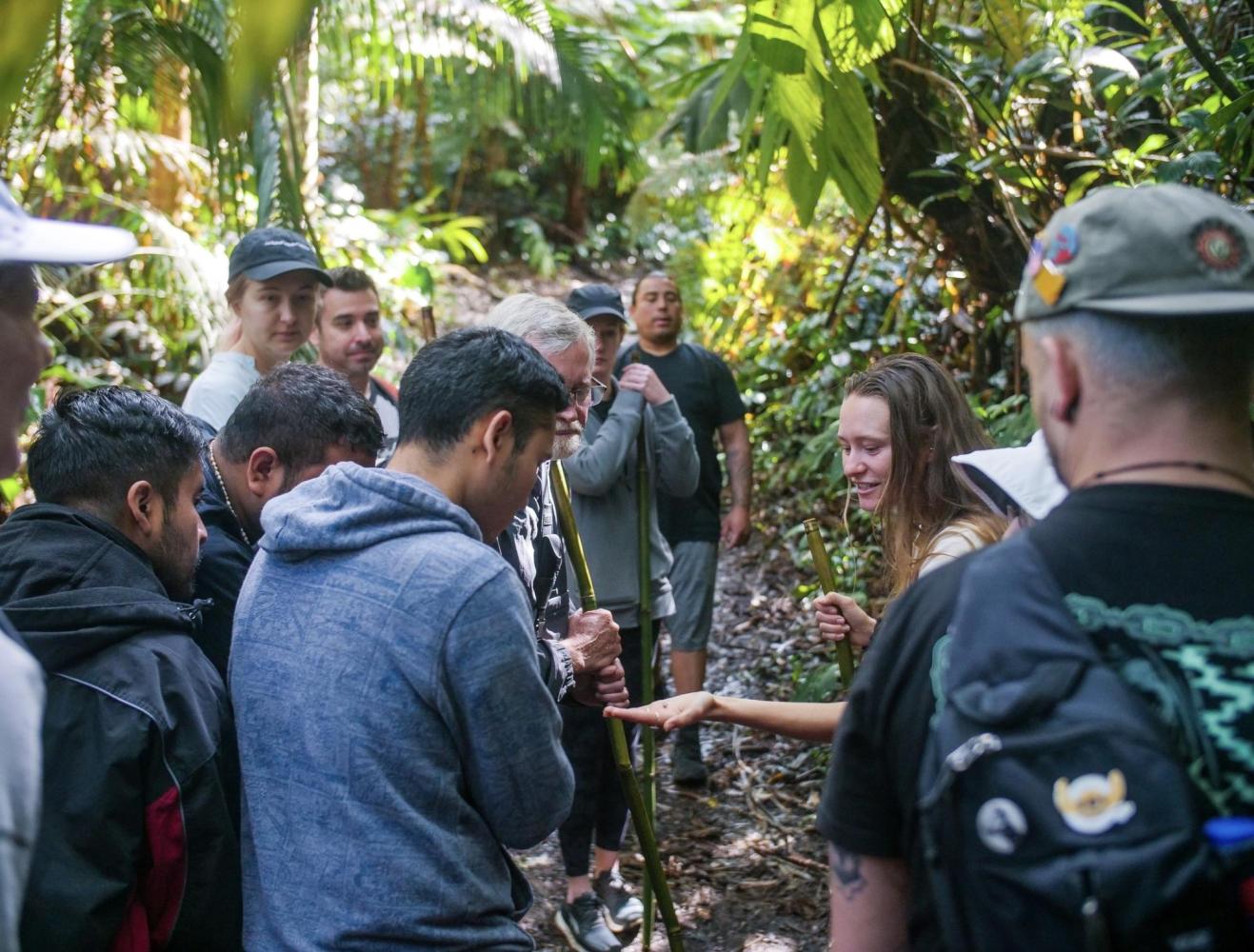 Group of people on a forest trail, one person showing something in hand to others.