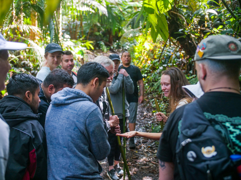 Group of people with a guide in a lush forest