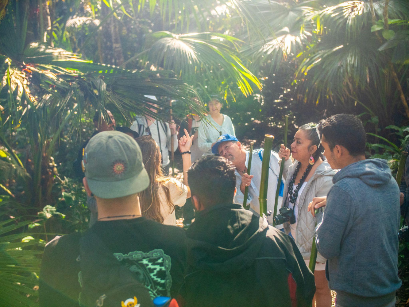 Group of people exploring a lush, tropical jungle.