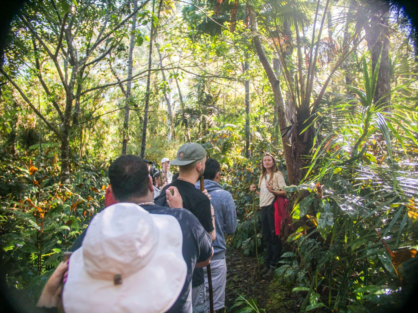 Group of people hiking on a forest trail with greenery all around.