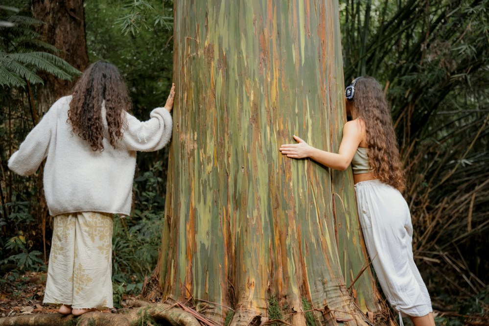 Two people with long hair touching a large tree trunk in a forest.